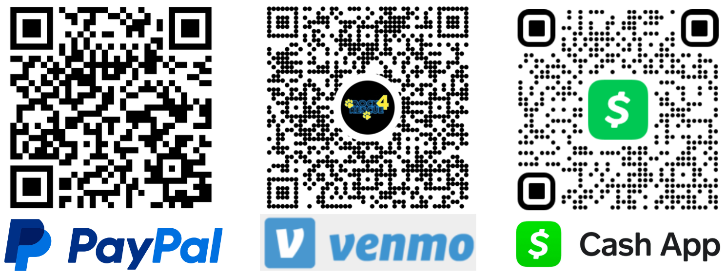 Three QR codes for different payment methods: PayPal, Venmo, and Cash App, each with their respective logos underneath.