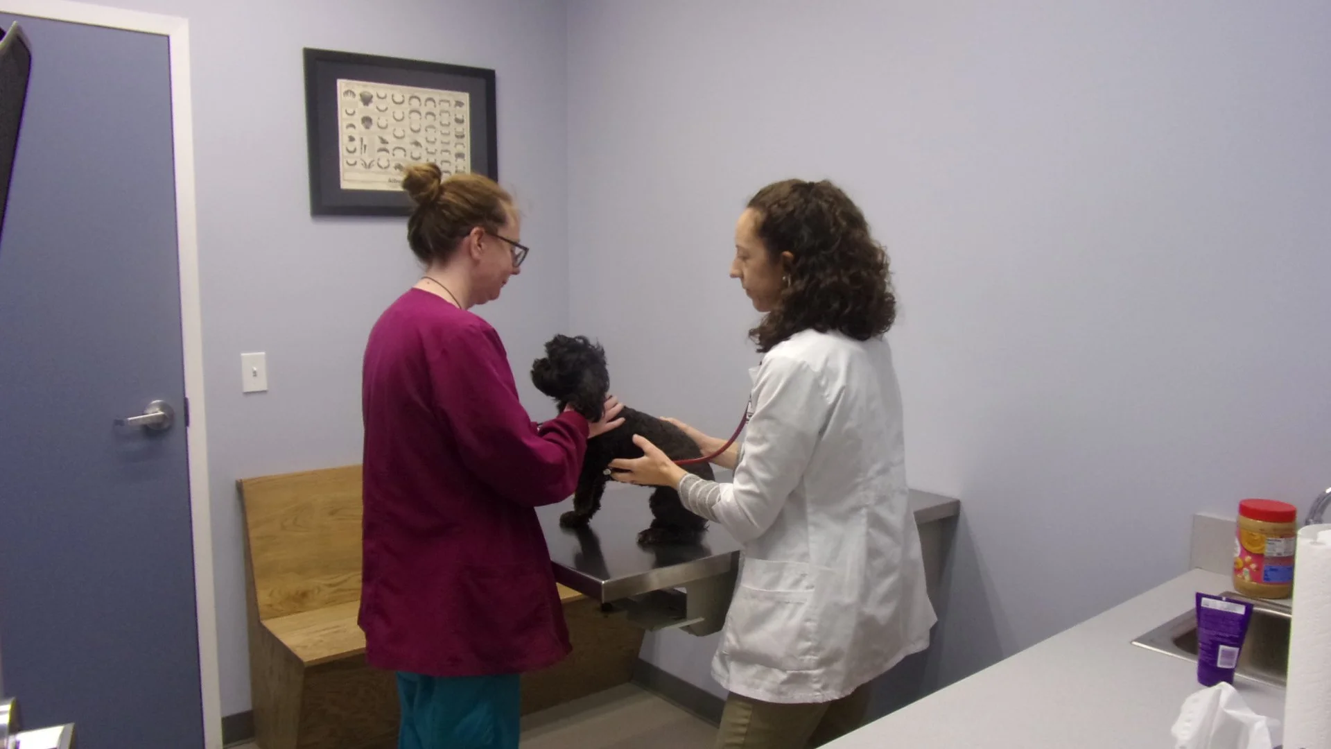 Two women and black puppy on examination table in veterinary clinic, one woman in burgundy scrubs holding the puppy, the other in white coat examining the puppy, in a room with framed artwork and medical supplies.
