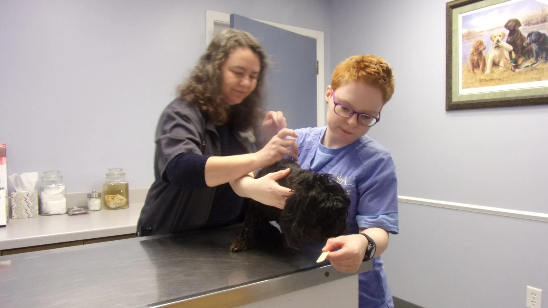 Two people, a woman and a young man, are examining a small black puppy on a metal examination table in a veterinary clinic.