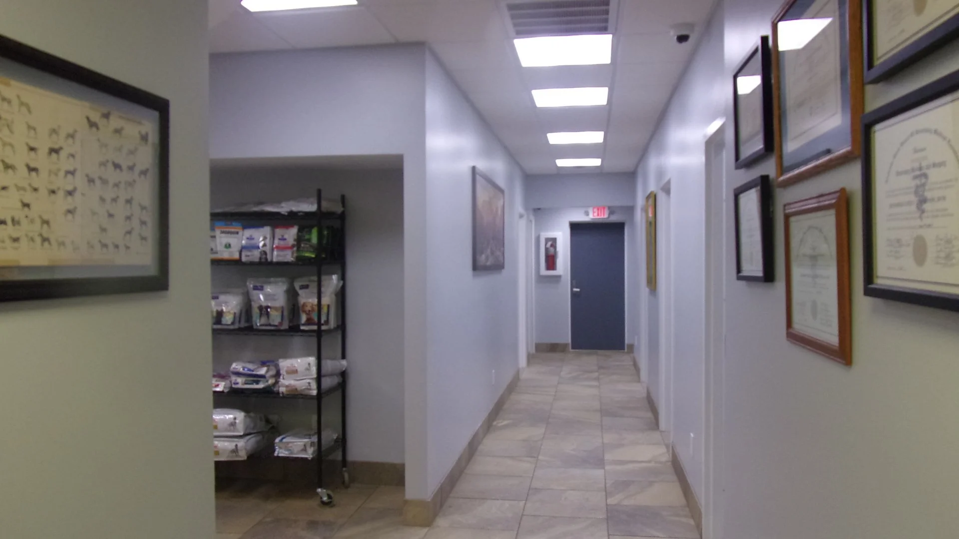 Empty hospital or clinic corridor with framed documents or certificates on the walls and a metal shelving unit with supplies on the left.