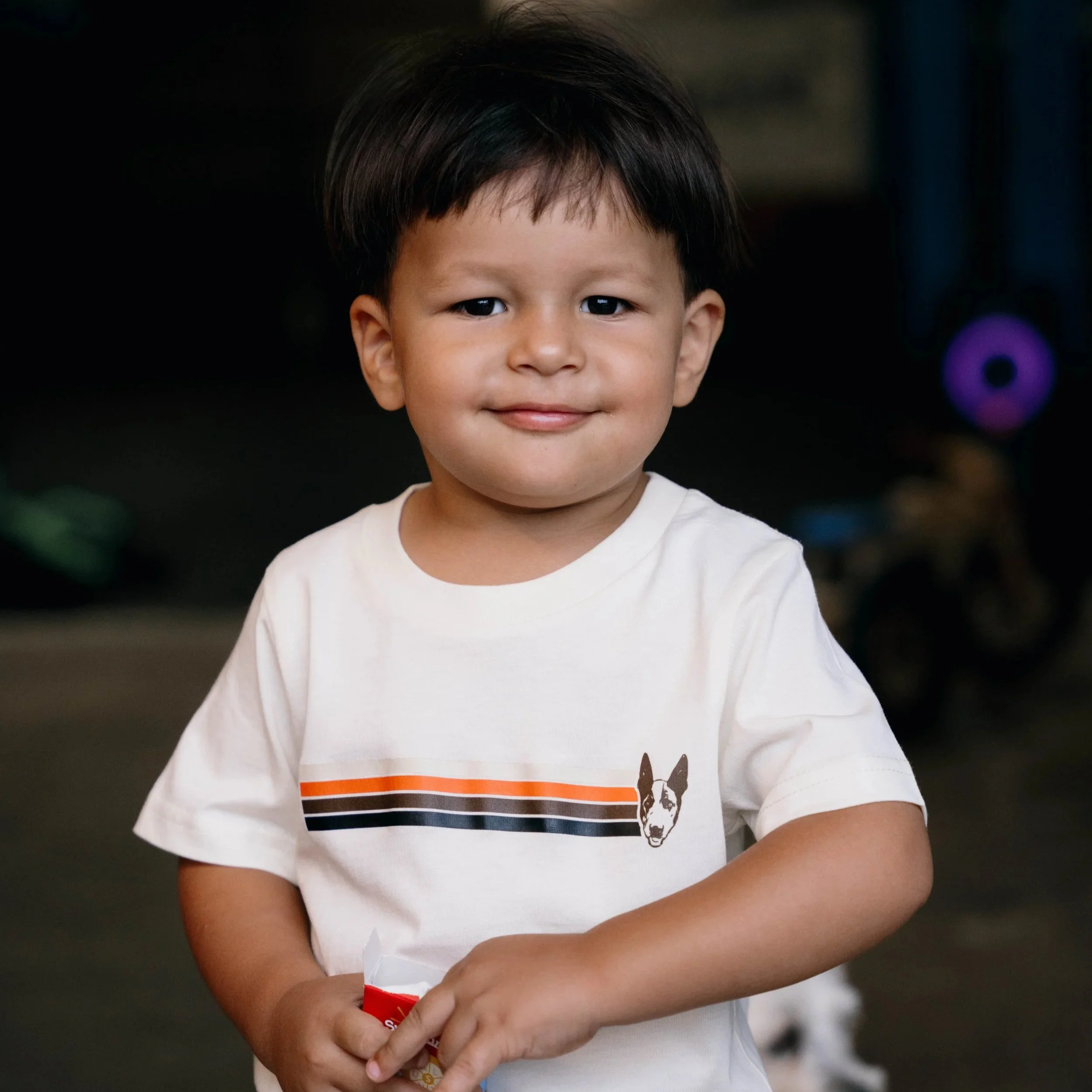 A young boy with dark hair and a slight smile, wearing a white t-shirt with a small dog illustration and orange, black, and white stripes, standing indoors.