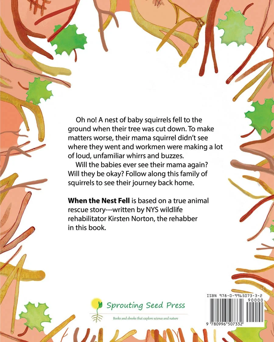Backcover-When the Nest Fell-paperback-JPG.jpg