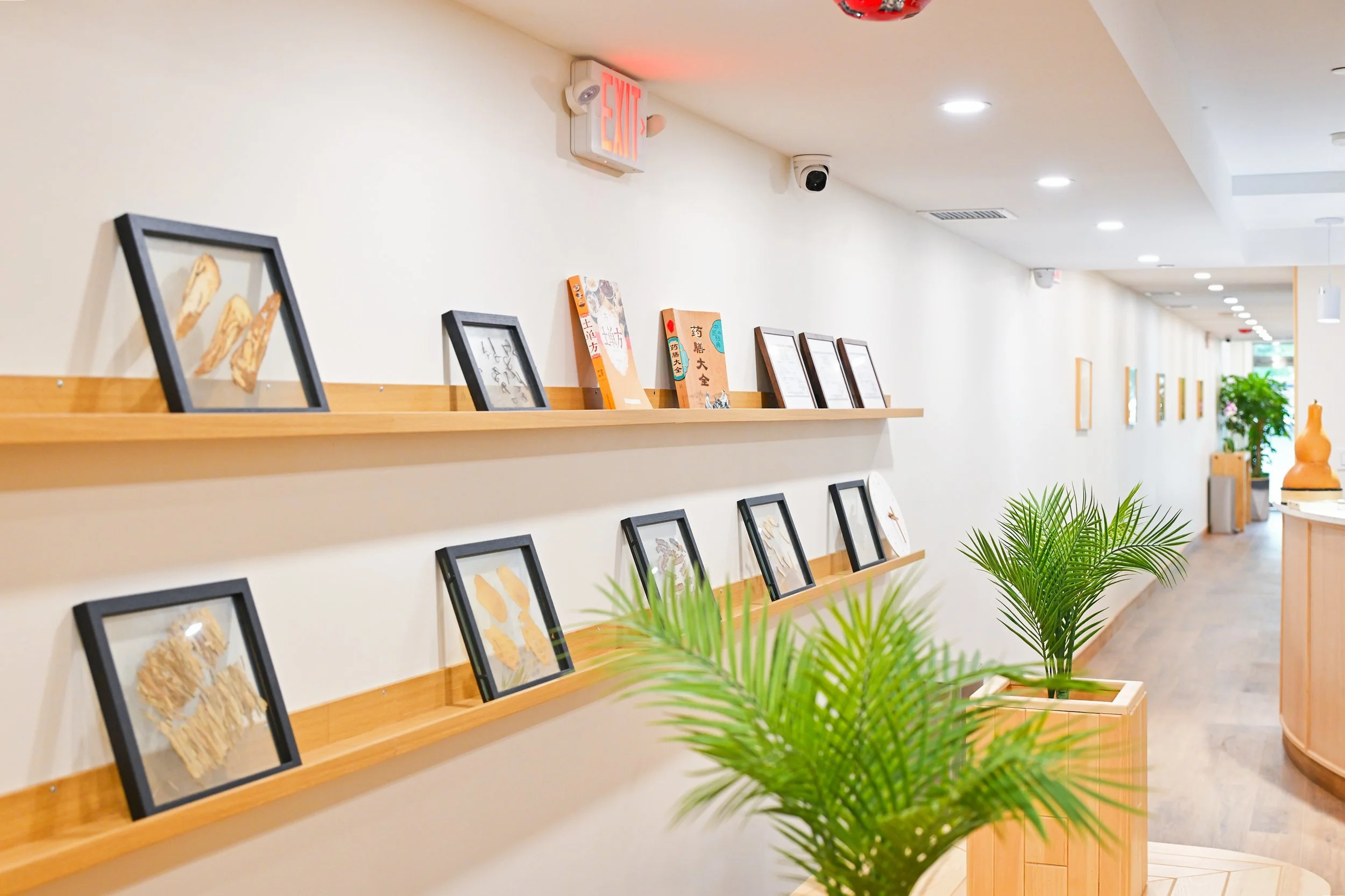 wellness clinic Chinese medicine space (4)_DxO 2.jpg