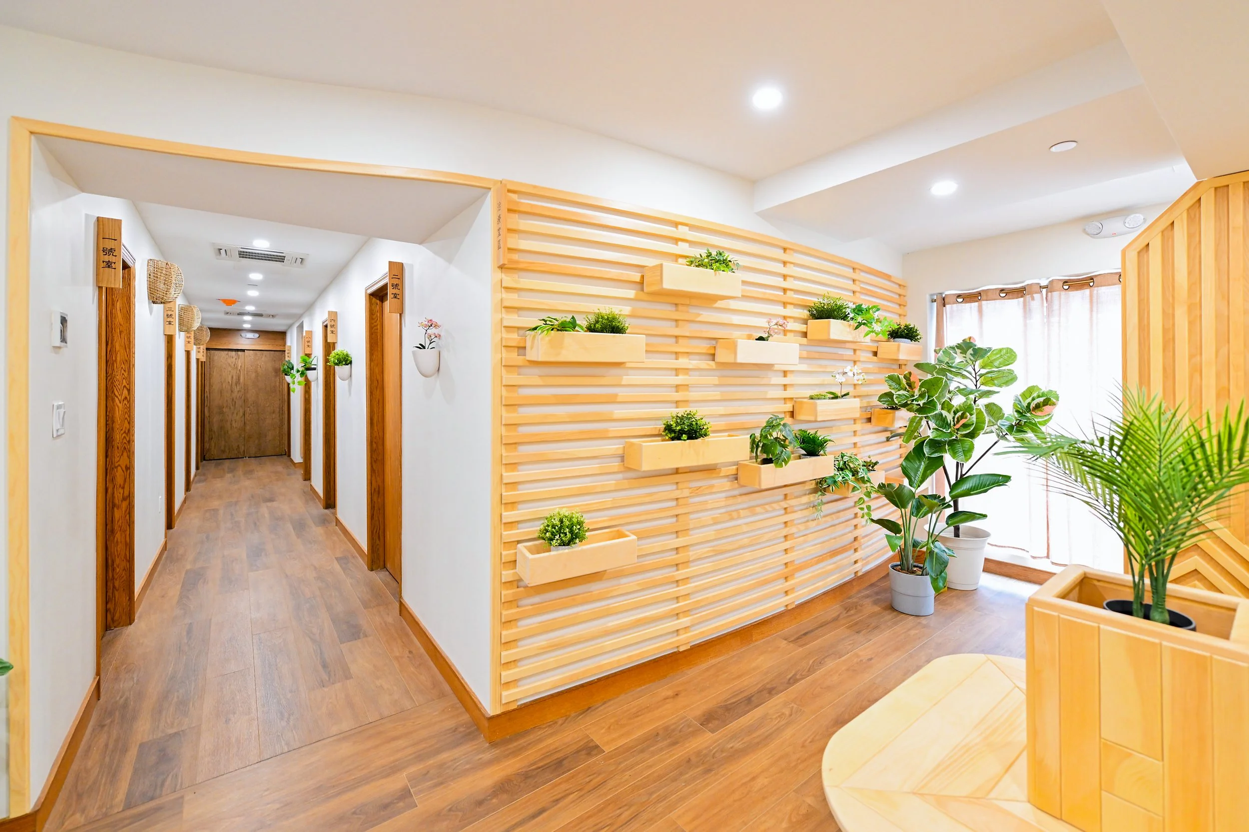 wellness clinic Chinese medicine space_DxO.jpg