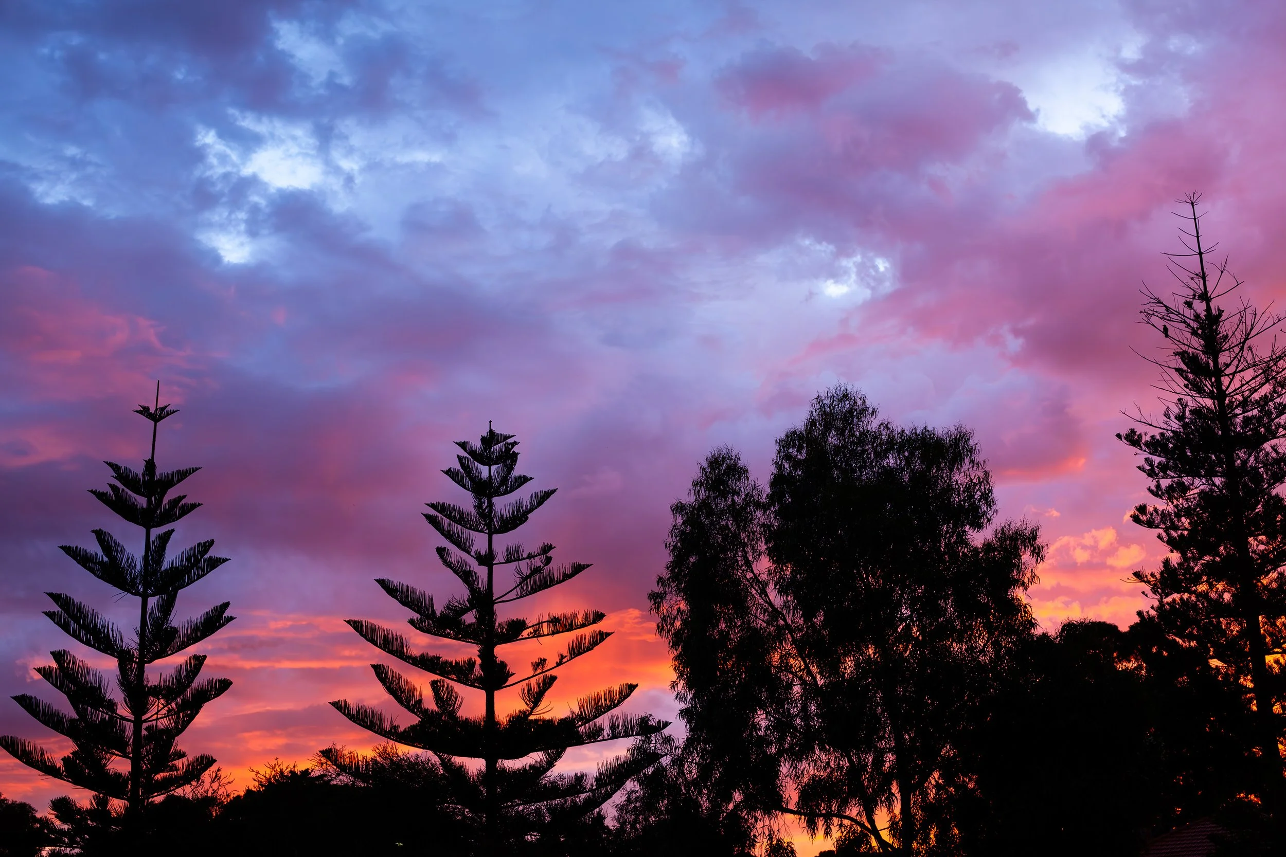 Silhouetted trees against a colorful sunset sky with purple, pink, and orange clouds. Located near City Beach, Perth.