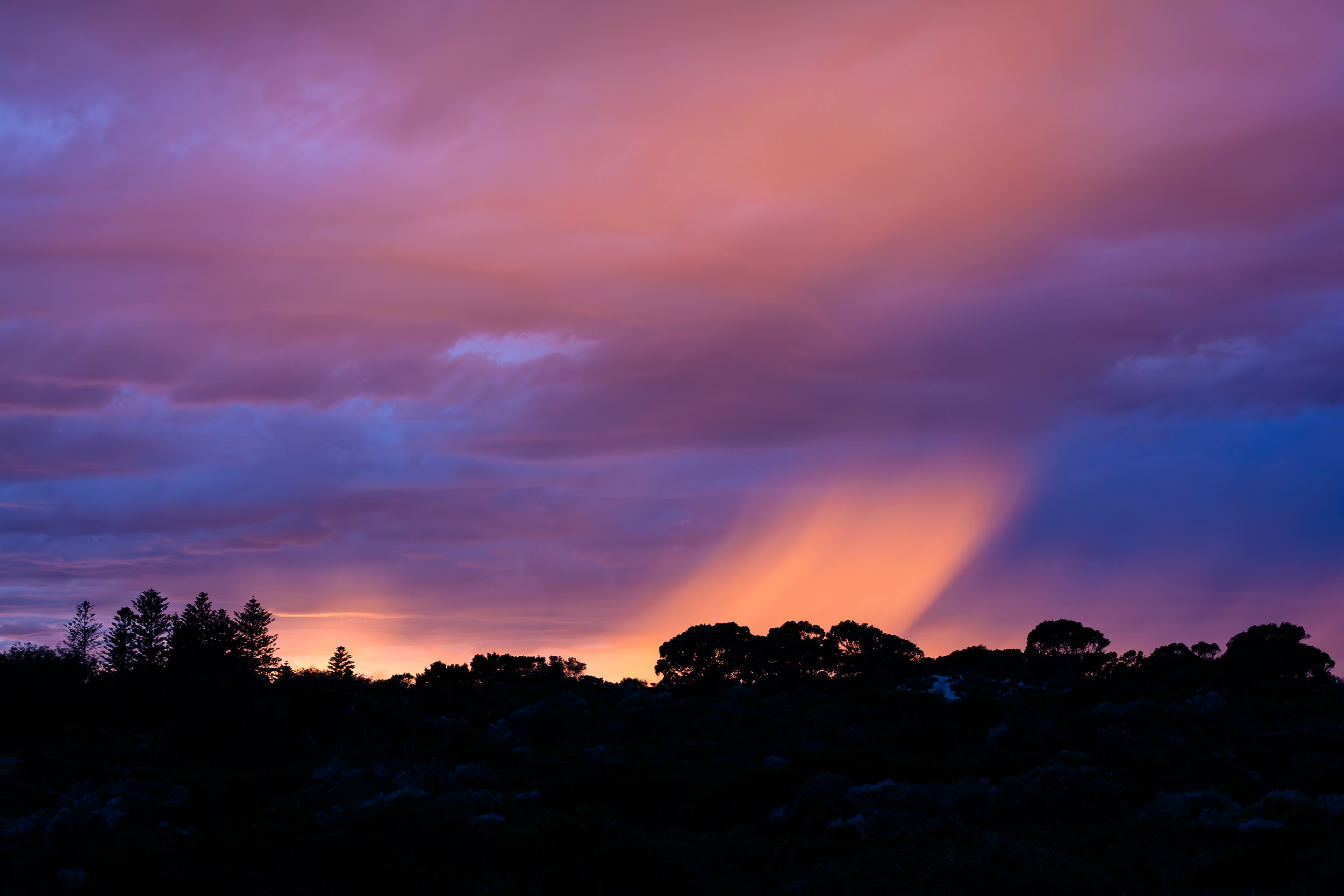 A colorful sunset over a silhouette of trees and a landscape. Located near City Beach, Perth.