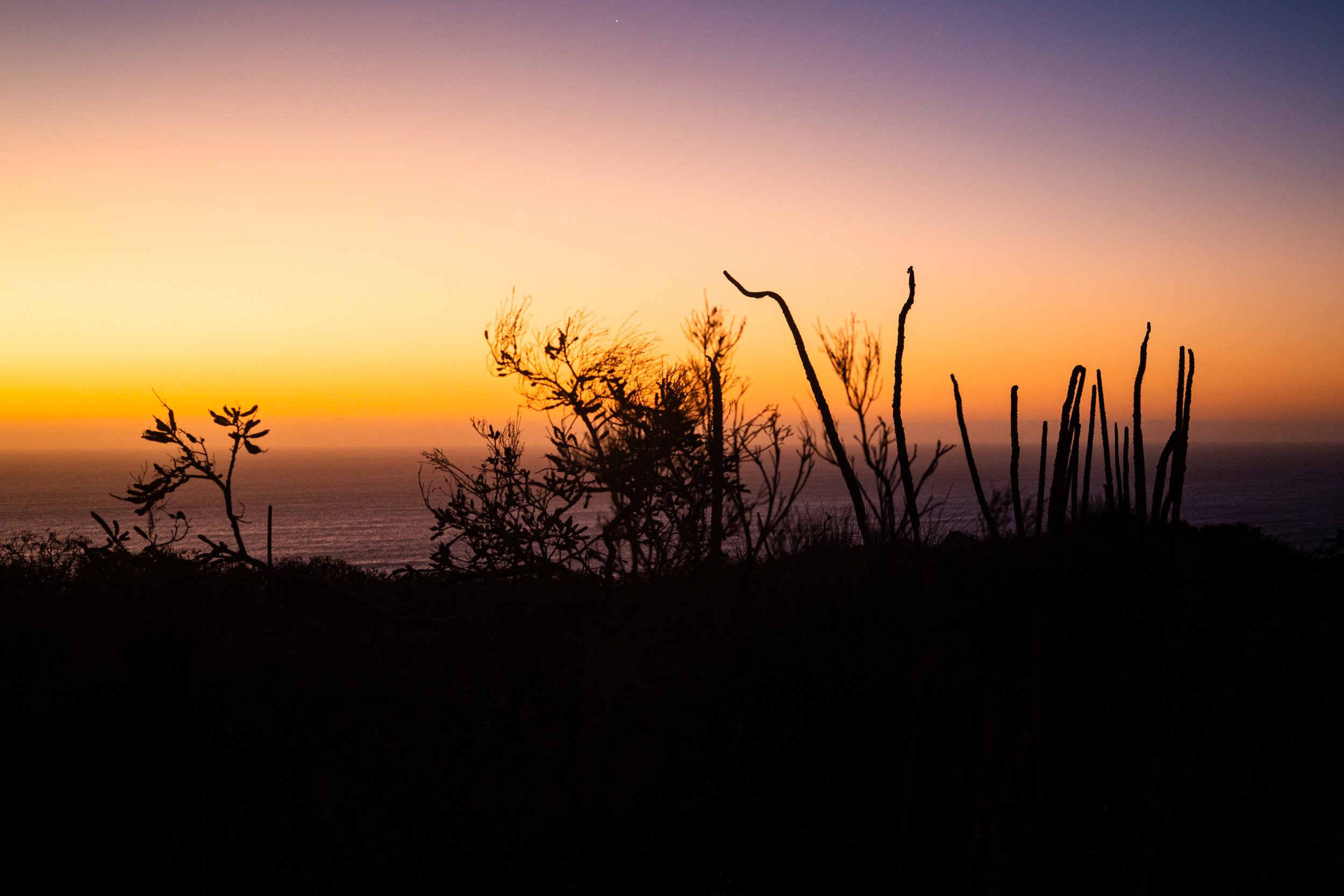_63A8250.jpg