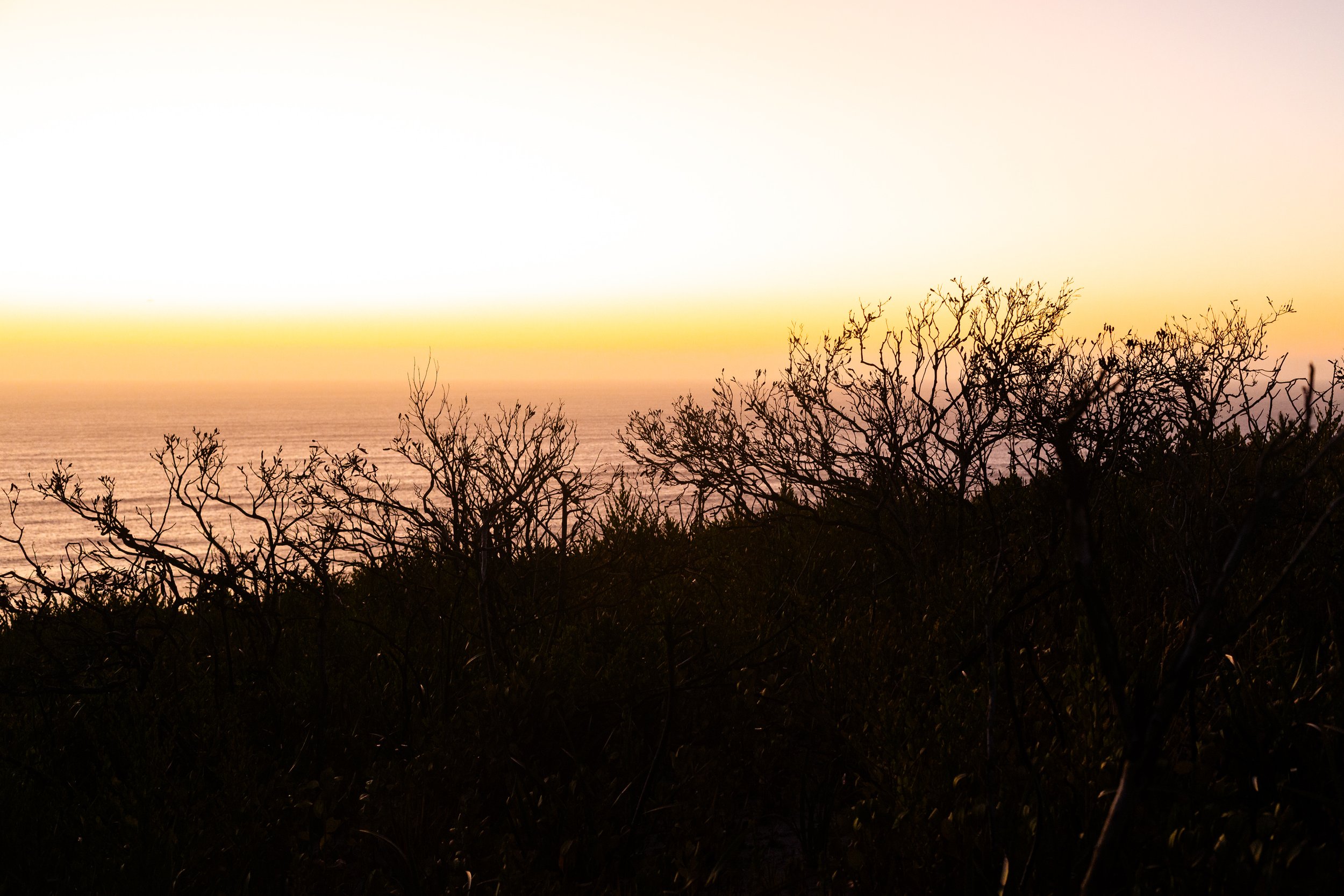 _63A8237.jpg