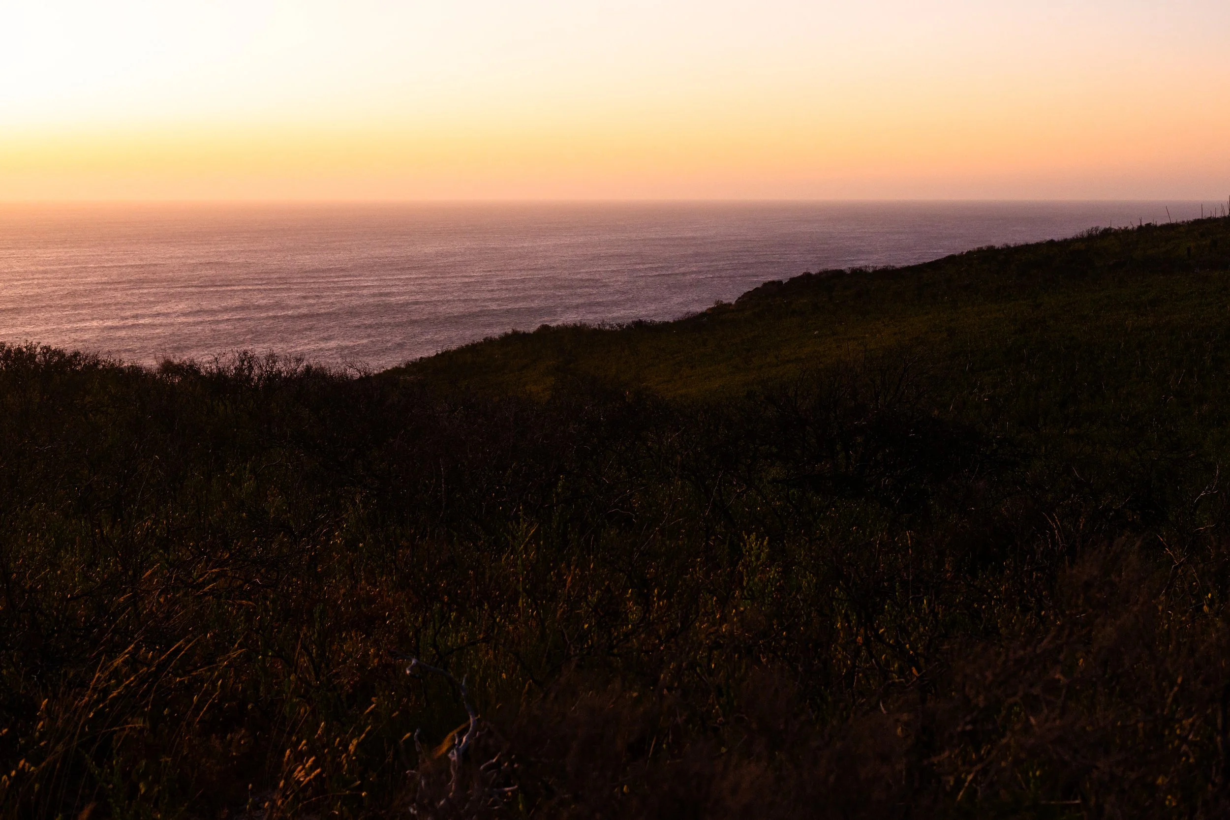 _63A8241.jpg