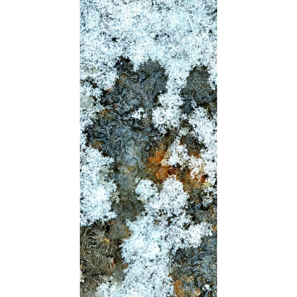 Frozen Footprint / Ice and Rust