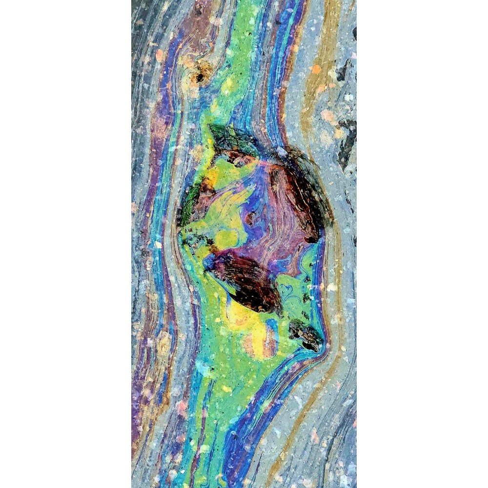 Living Palette / Car's Trace