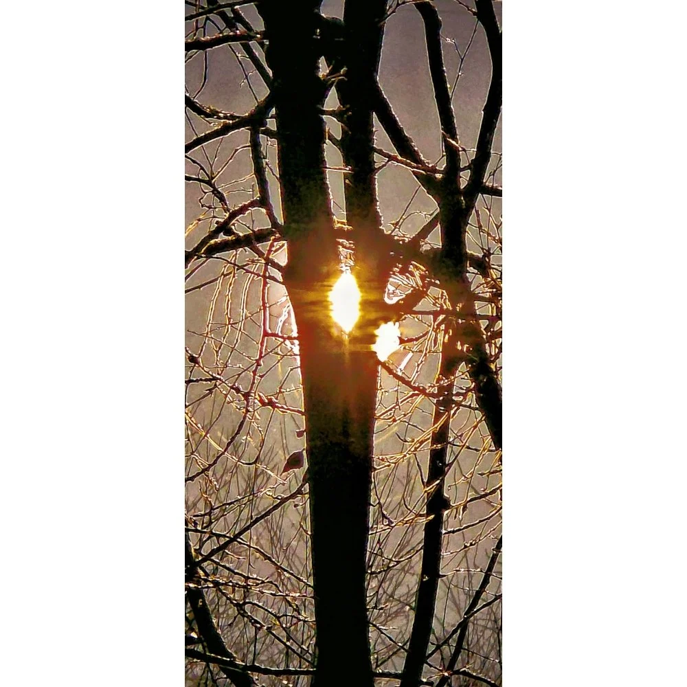 Cross of Light / Tree and Sun