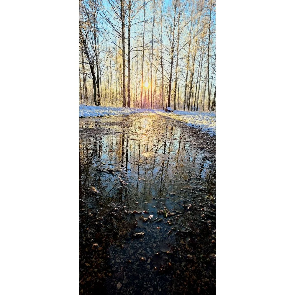 Reflection / Winter, 2:30 PM