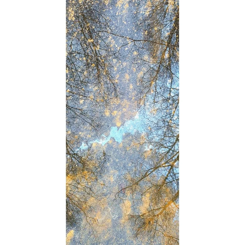 Blue Heart / Forest in Pollution