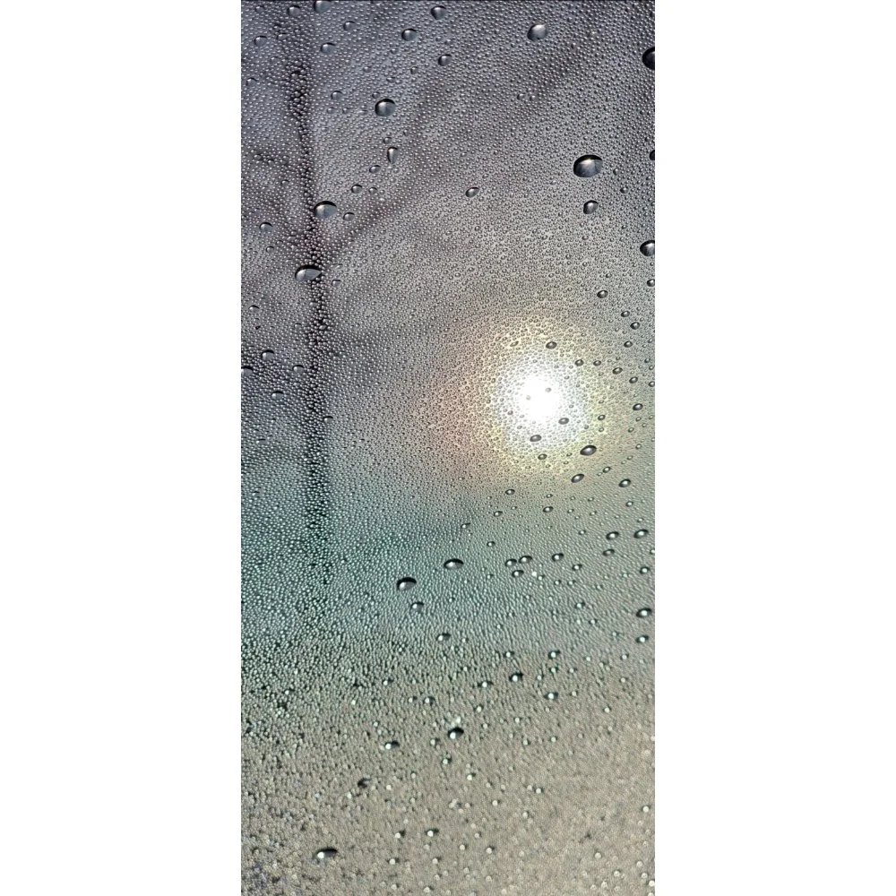 Light Through Mist / Thousand Drops