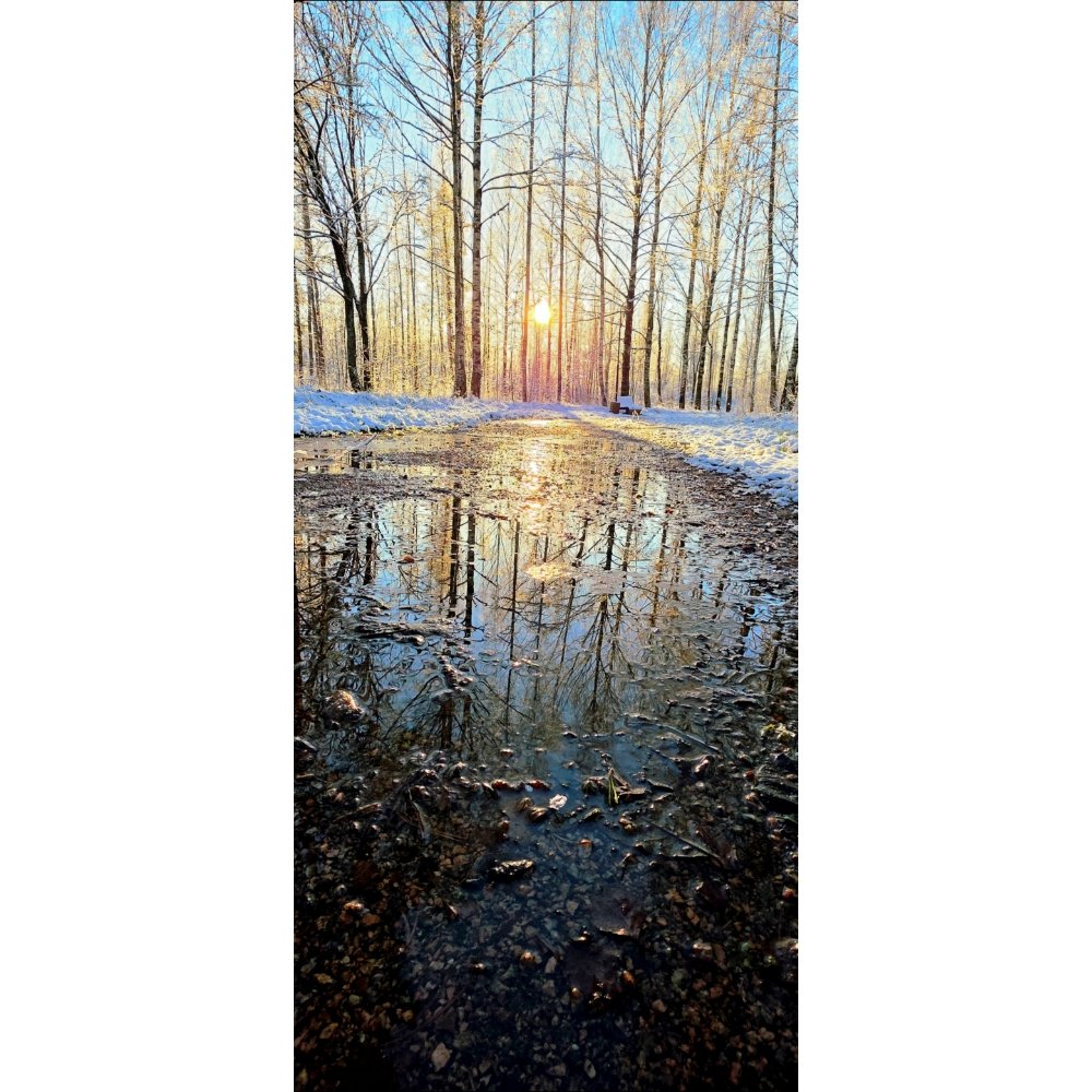 Path Through Winter / Road in Reflection