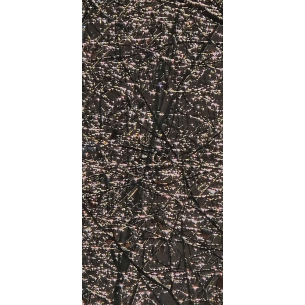 Galaxy of Branches / Thousand Lights