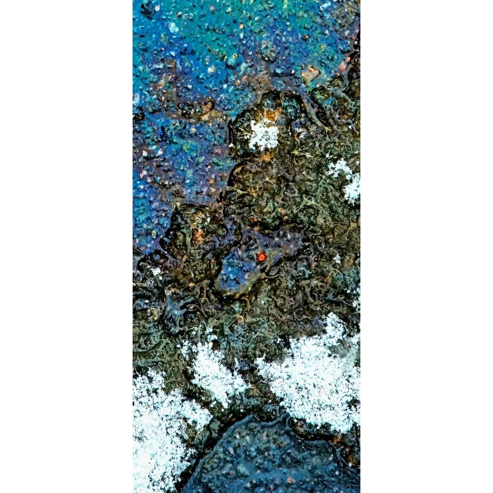 Border of Life / Water and Decay