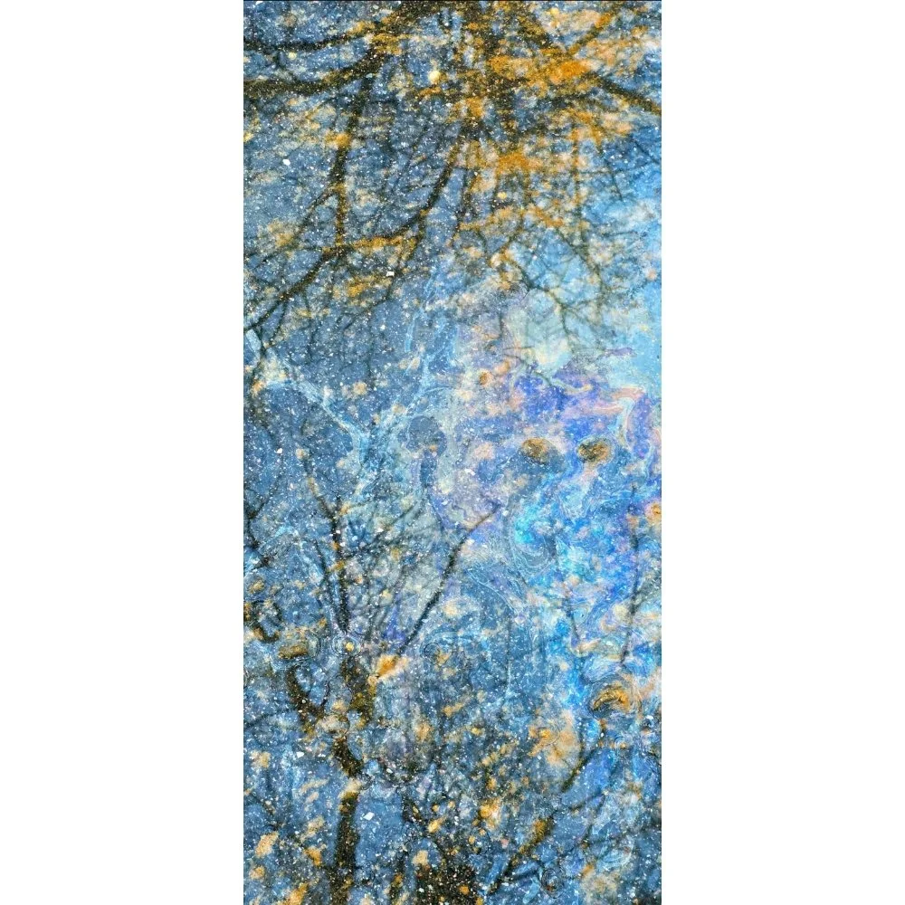 Blue Symphony / Forest Through Film