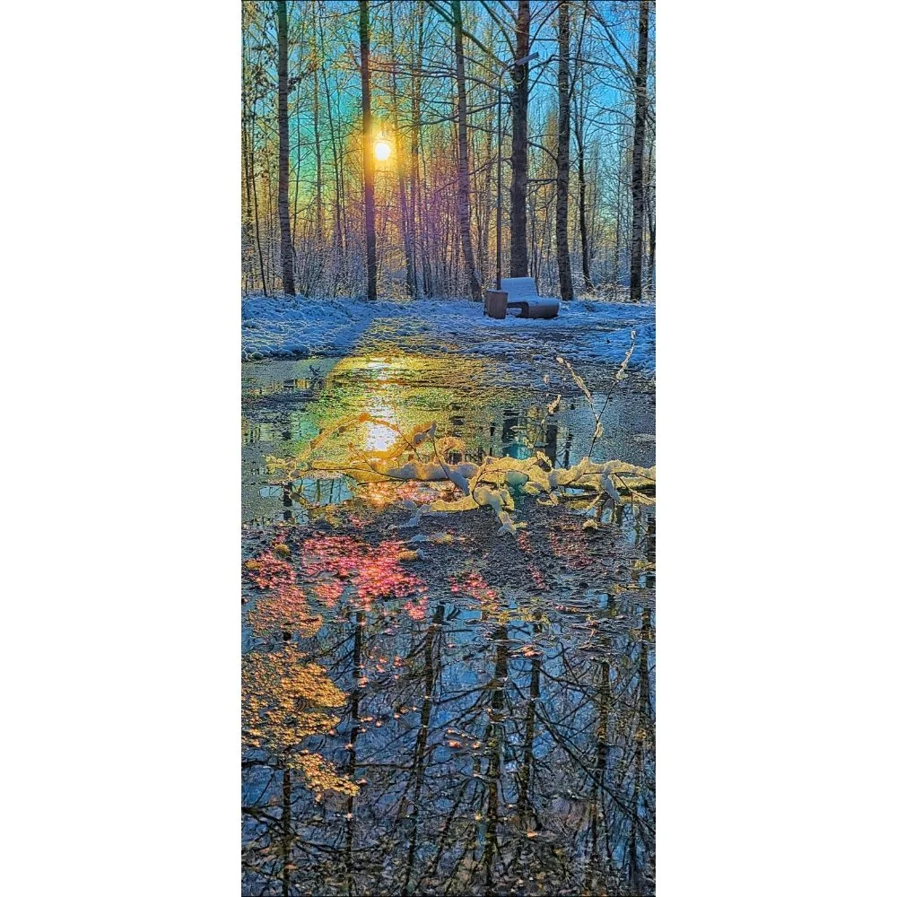 No One Will Come / Winter Waiting