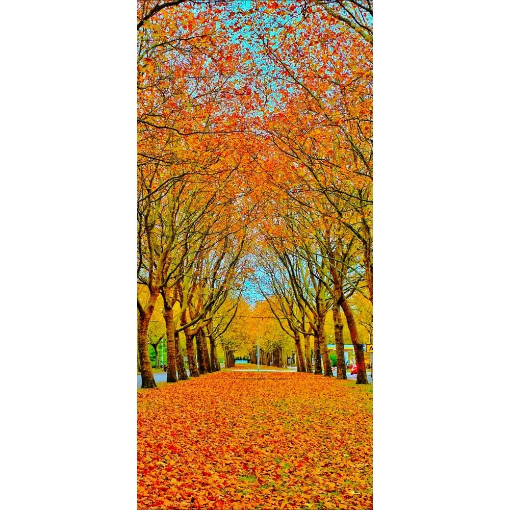 Return / Autumn Alley