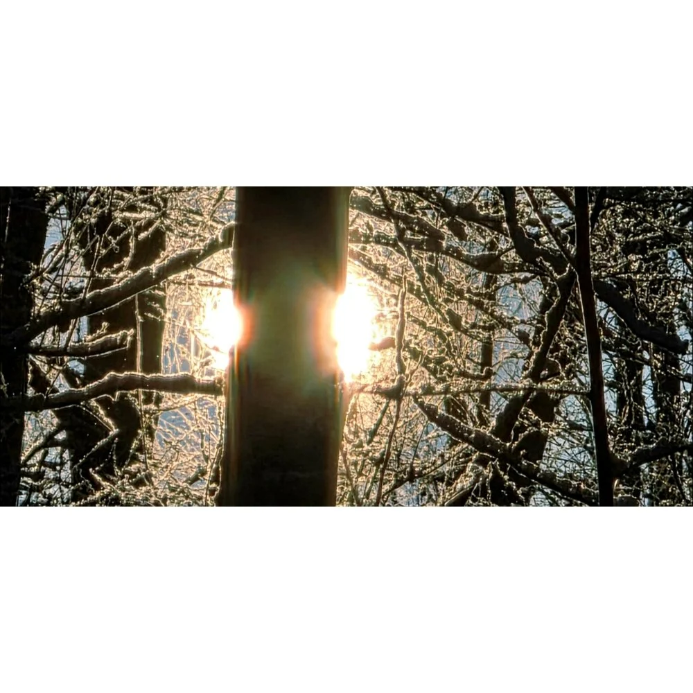 Light Explosion / Winter Silhouette