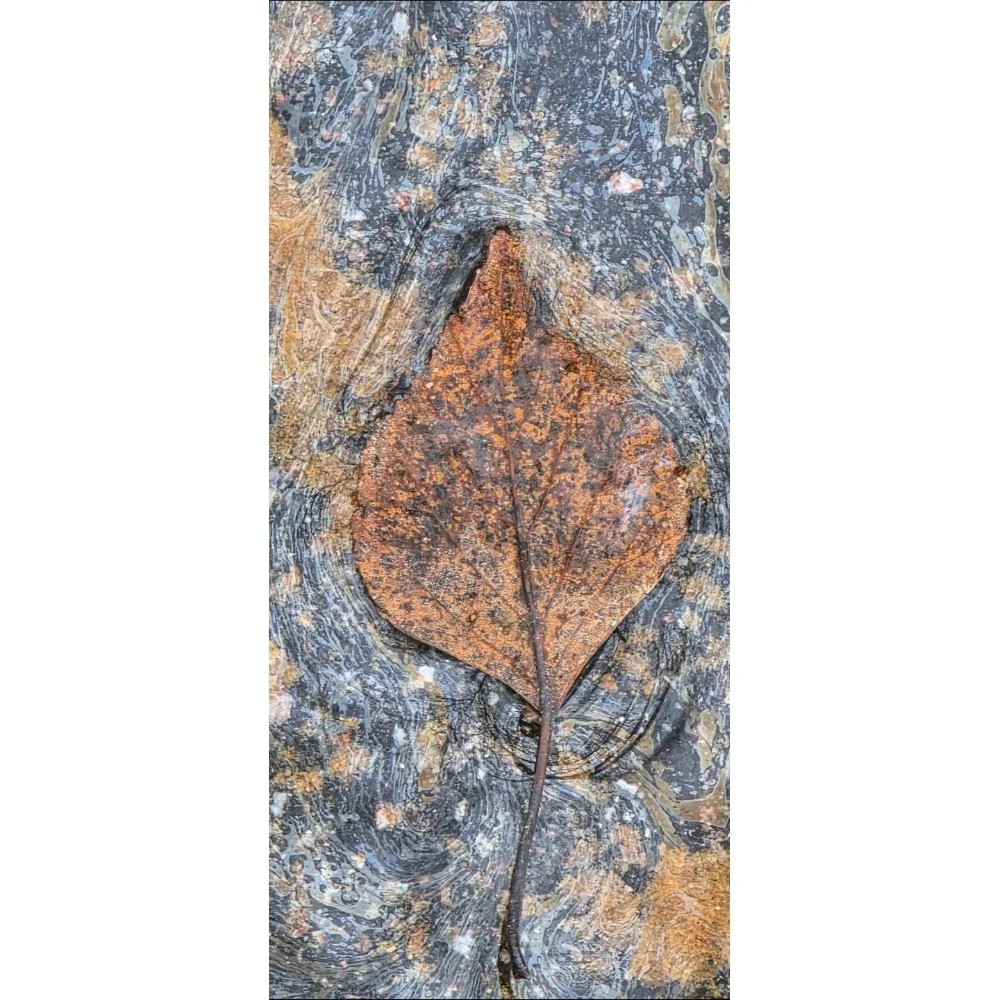 The Last Leaf / In Oil Waters