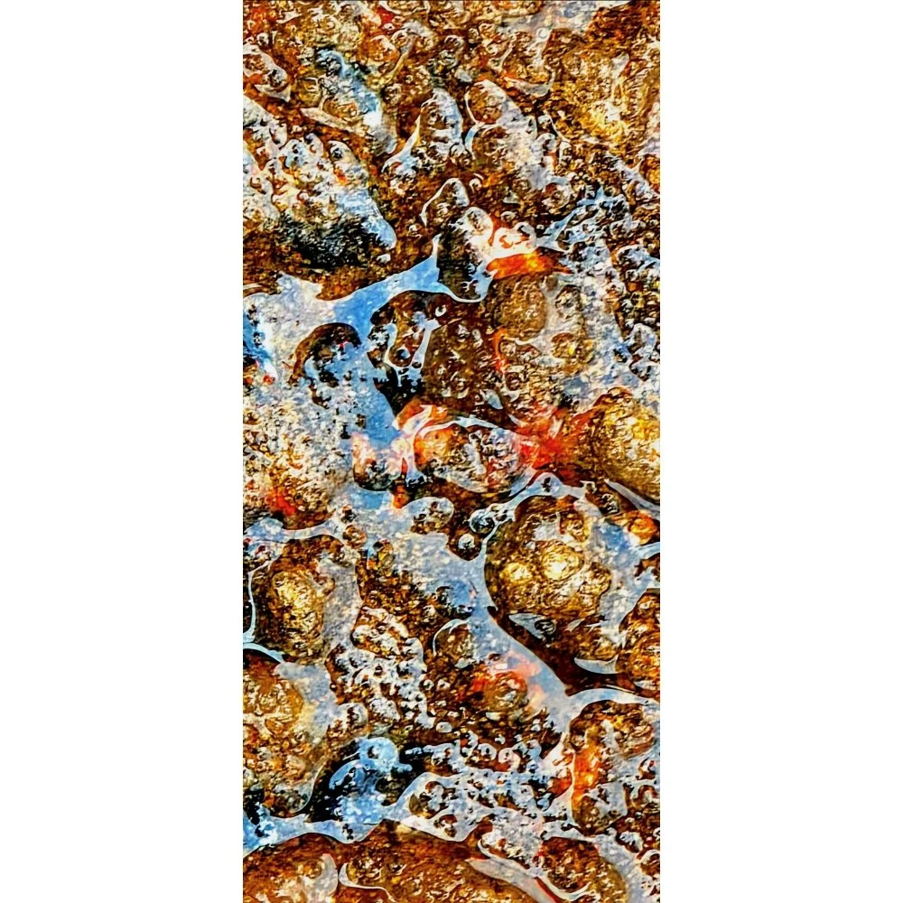 Organic Matter / Cells and Rust