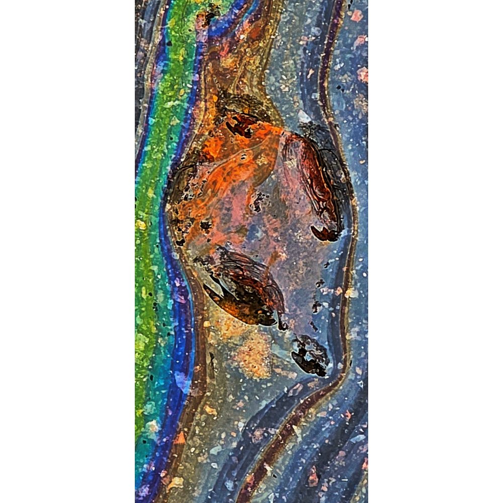 Fiery Footprint / Rainbow Imprint