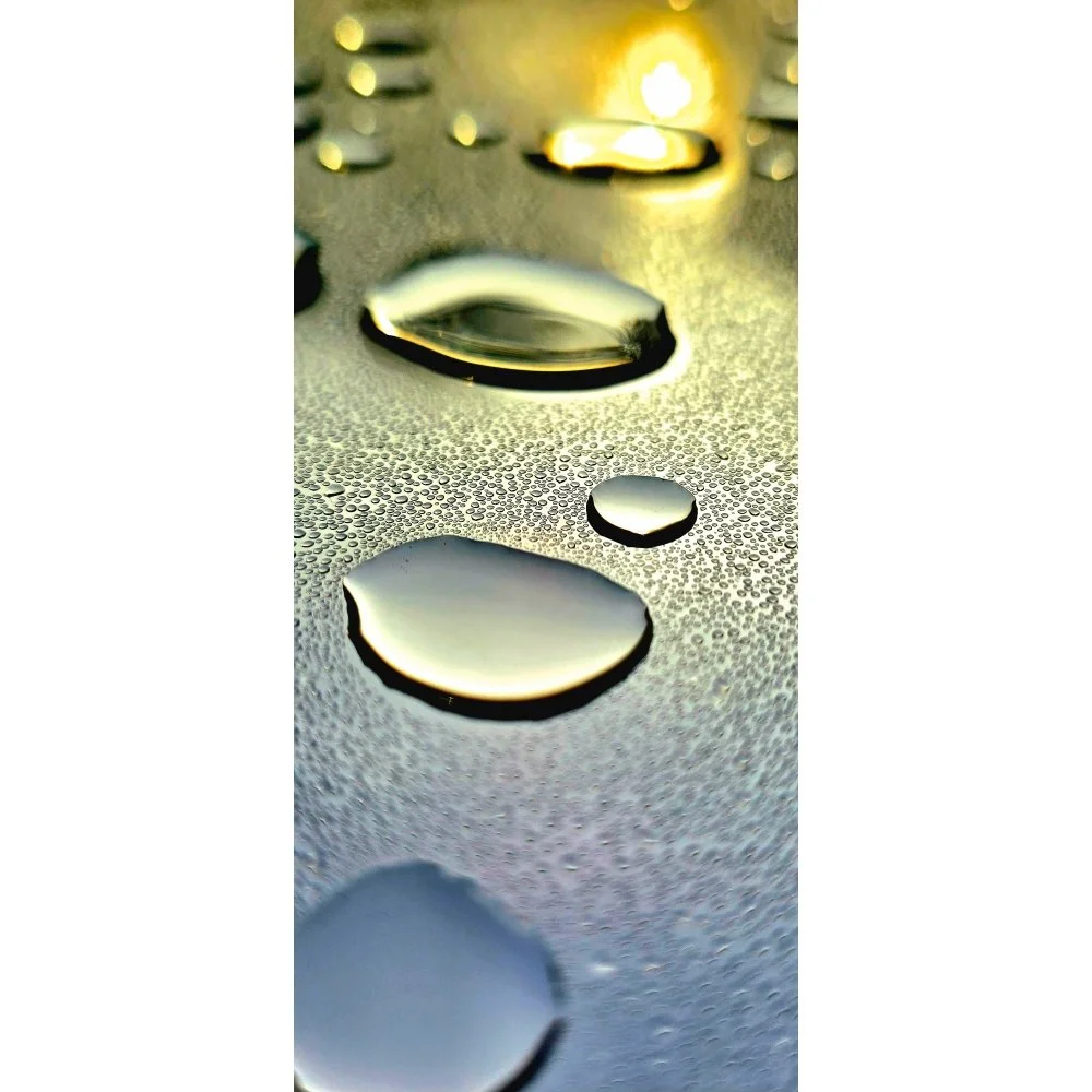 Lenses / Morning After Rain