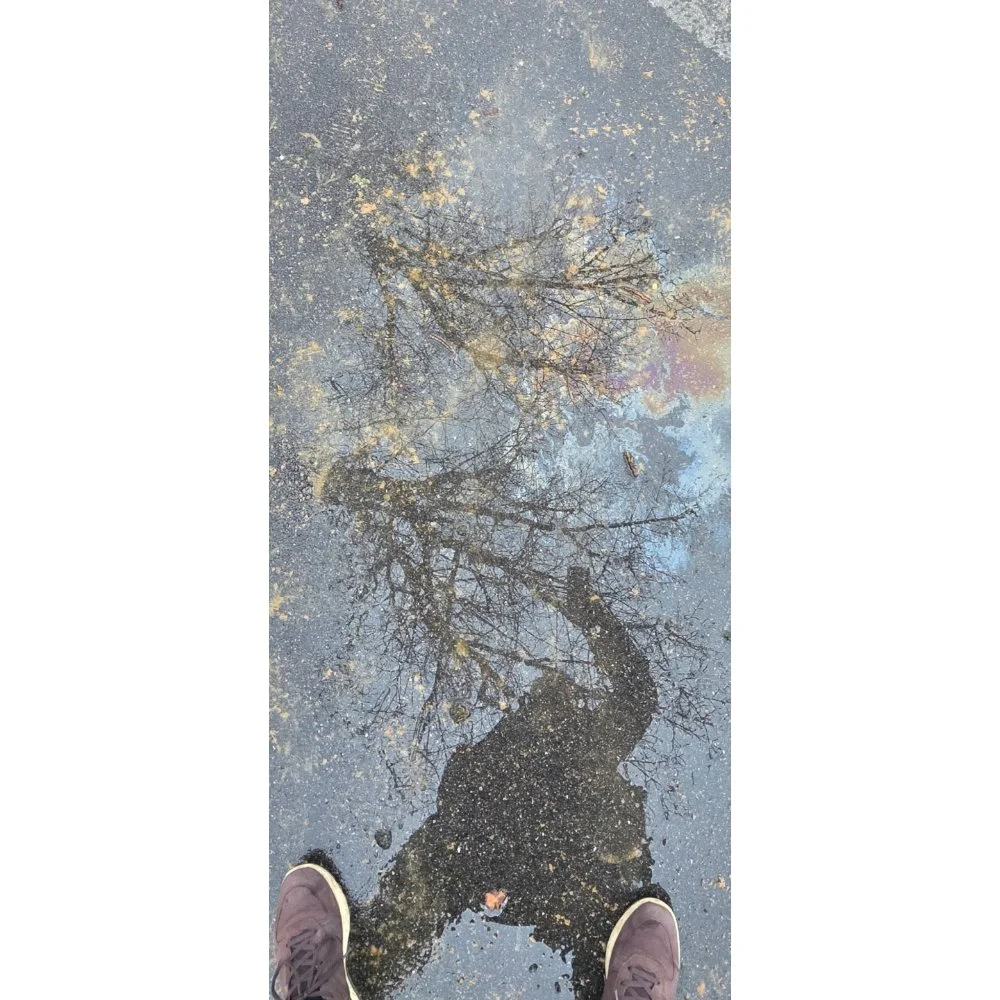 I Stand in Reflection / Feet in Nature