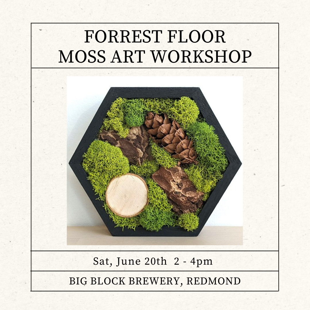 June 20 • Forrest Floor •  Big Block