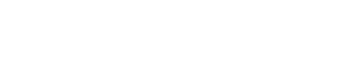 The image displays the word "Traveller" in large, white, bold letters on a black background.