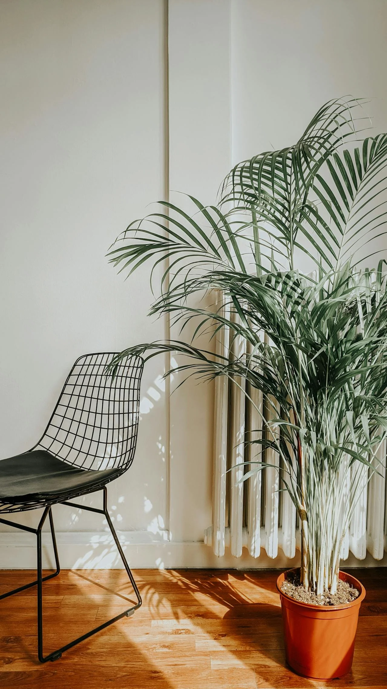 office for therapy for anxiety and depression in chicago illinois