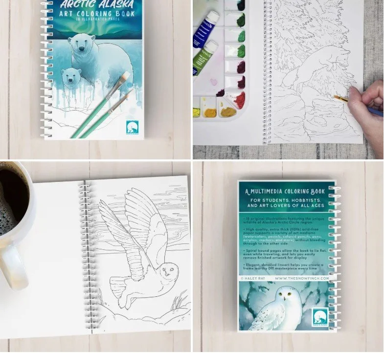 Arctic Alaska Art Coloring Book