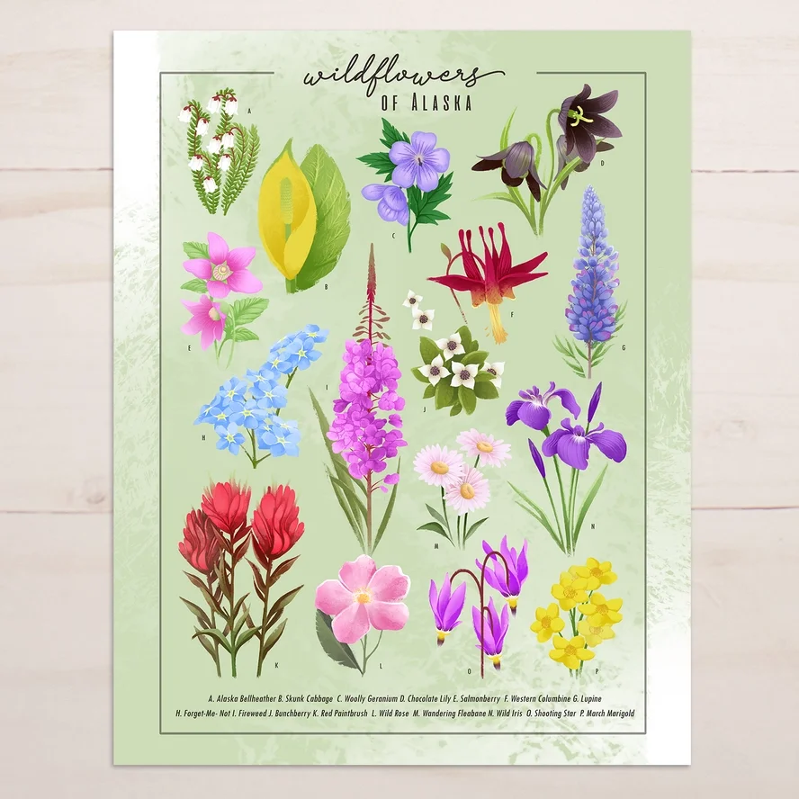 Wildflowers of Alaska Art Print (11x14)