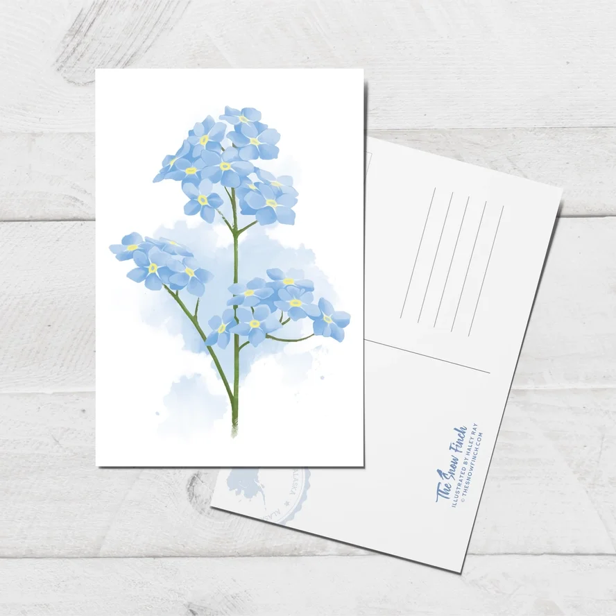 Forget-Me-Not Postcard || 4x6 Floral Alaska Art