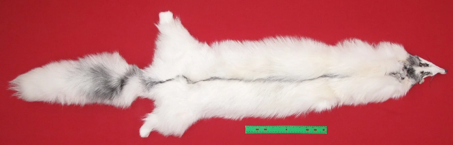 "Super Jumbo" Arctic Marble Fox — Heavy Winter Fur