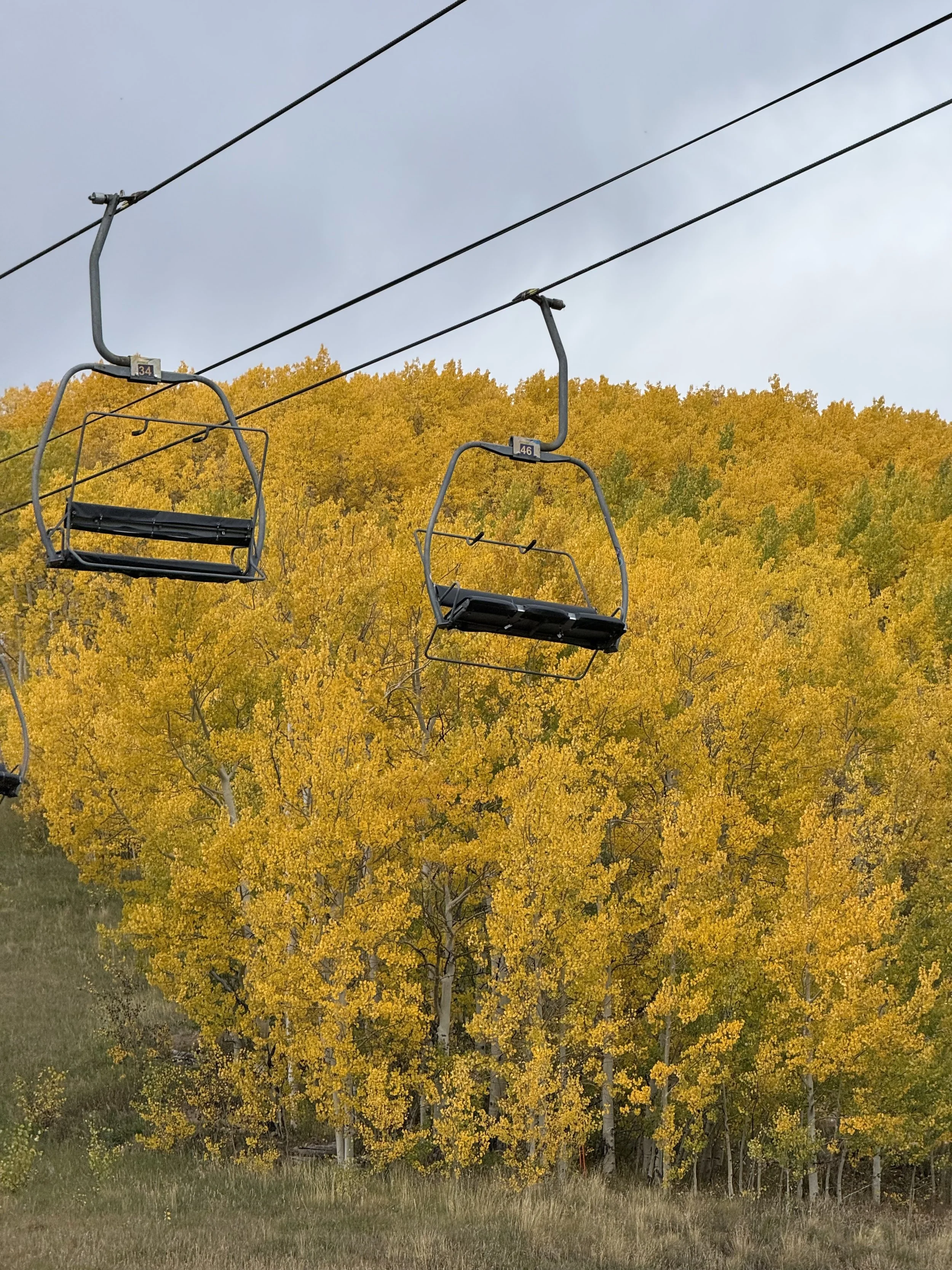 Empty ski lift chairs hanging in the air over a landscape of yellow fall foliage on trees on a cloudy day.