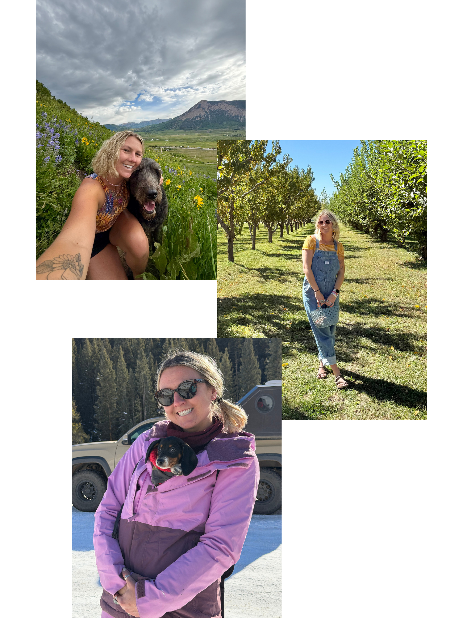 Three women outdoors, one with a dog and another with a dog, in various scenic outdoor settings like a mountain field, orchard, and snowy landscape.