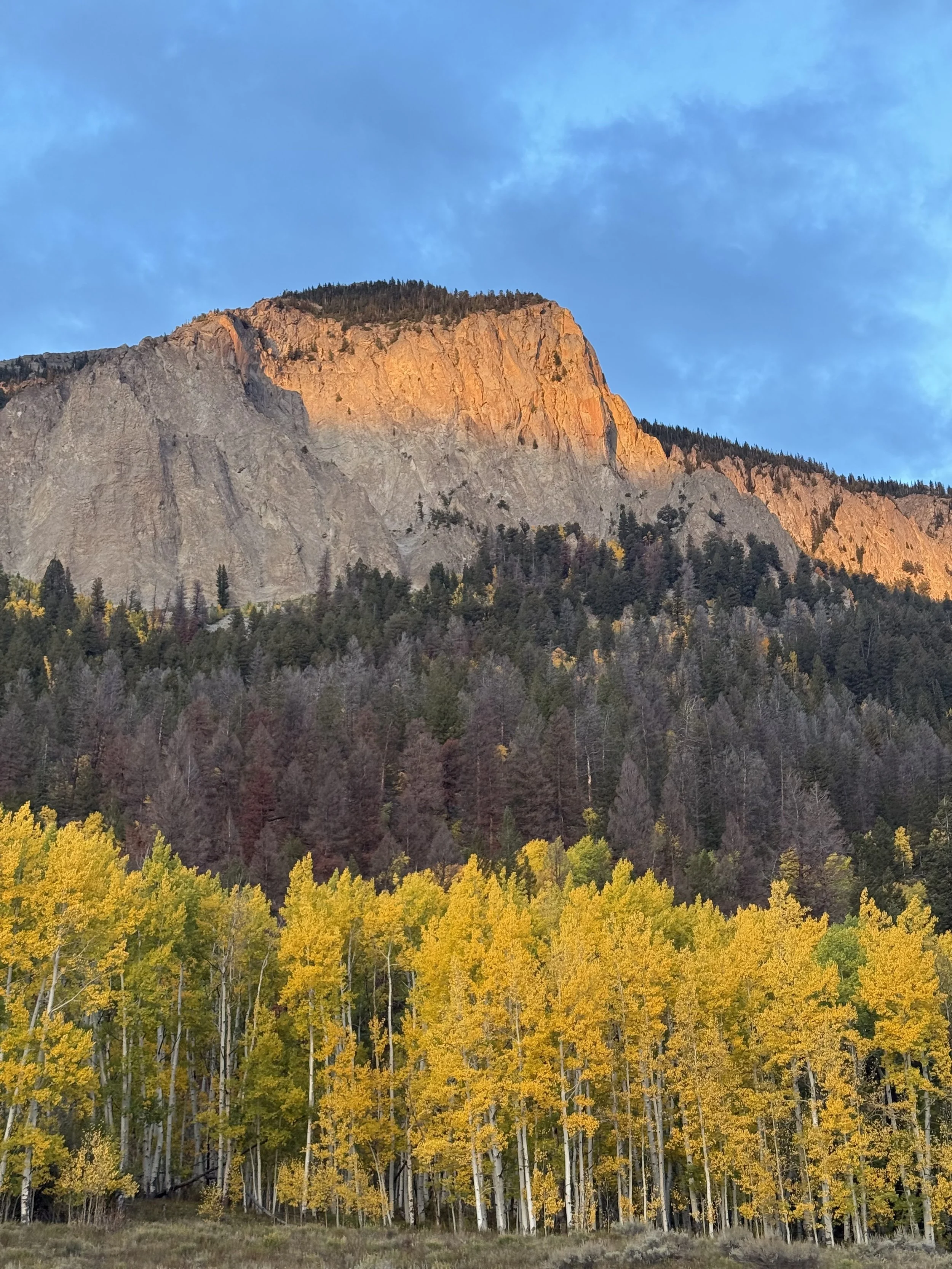 A mountain with a rocky top and forested slopes beneath, with yellow and green trees in the foreground, and a partly cloudy blue sky.