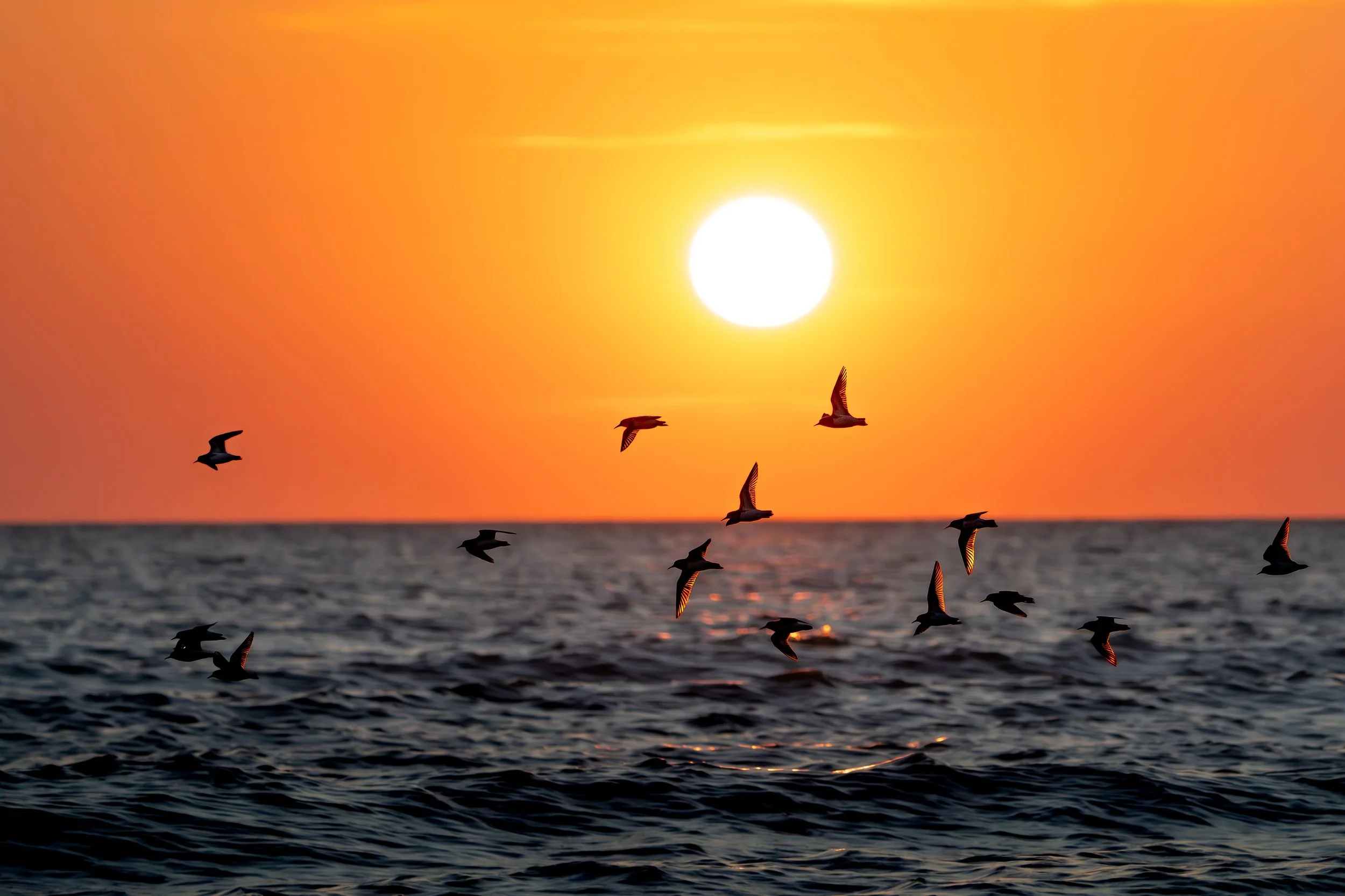 final (17 of 22).jpg