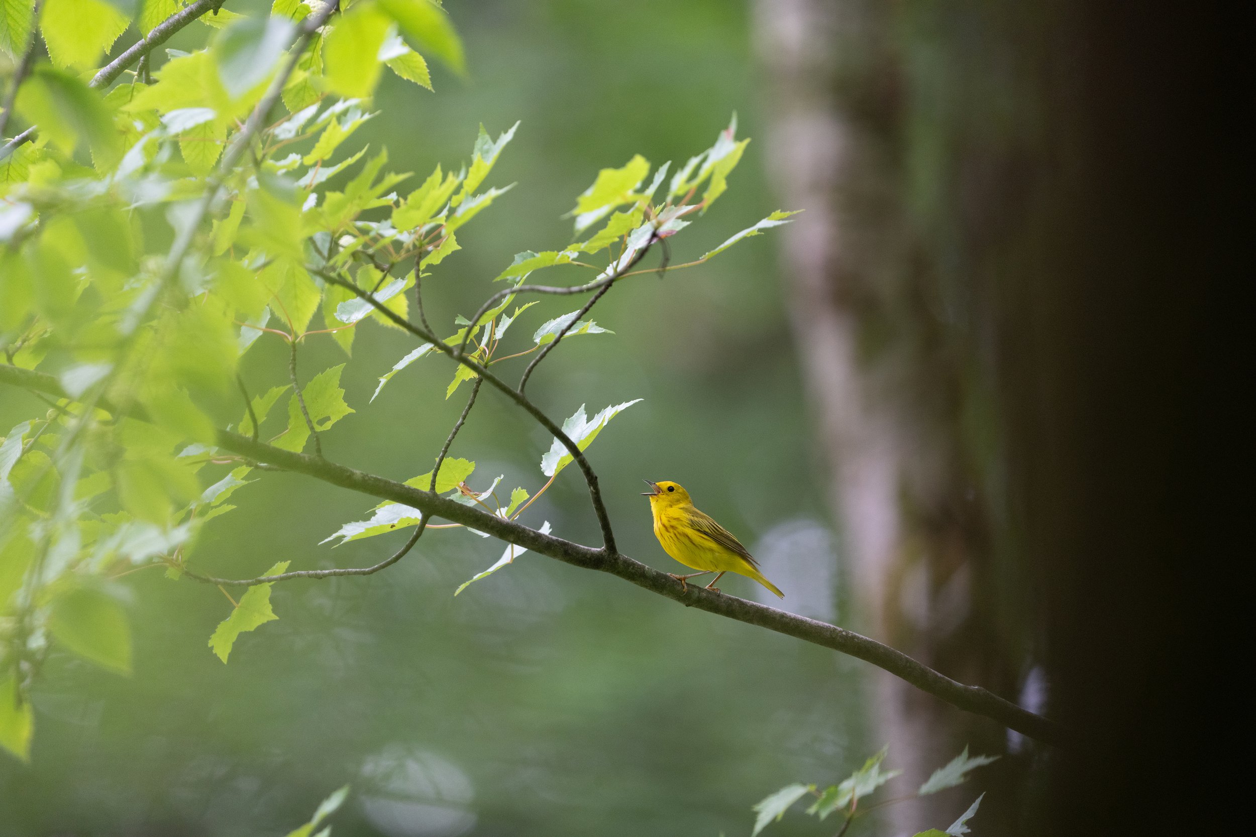 final (27 of 44)_2.jpg