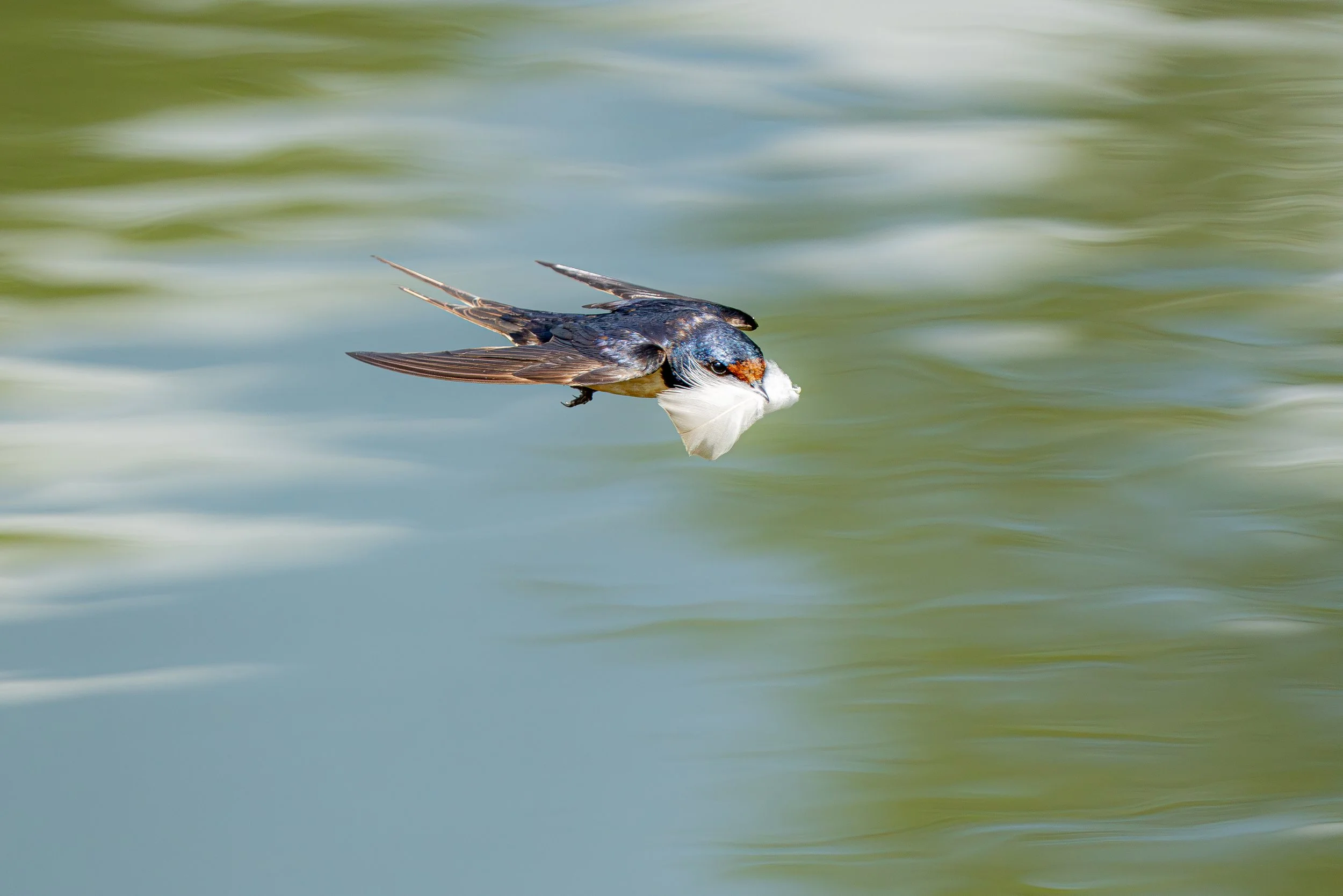 final (34 of 34).jpg