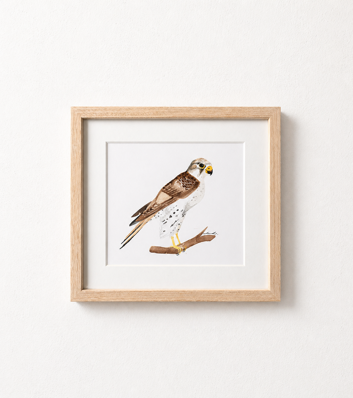Kestrel, watercolour on paper, 20 × 25 cm