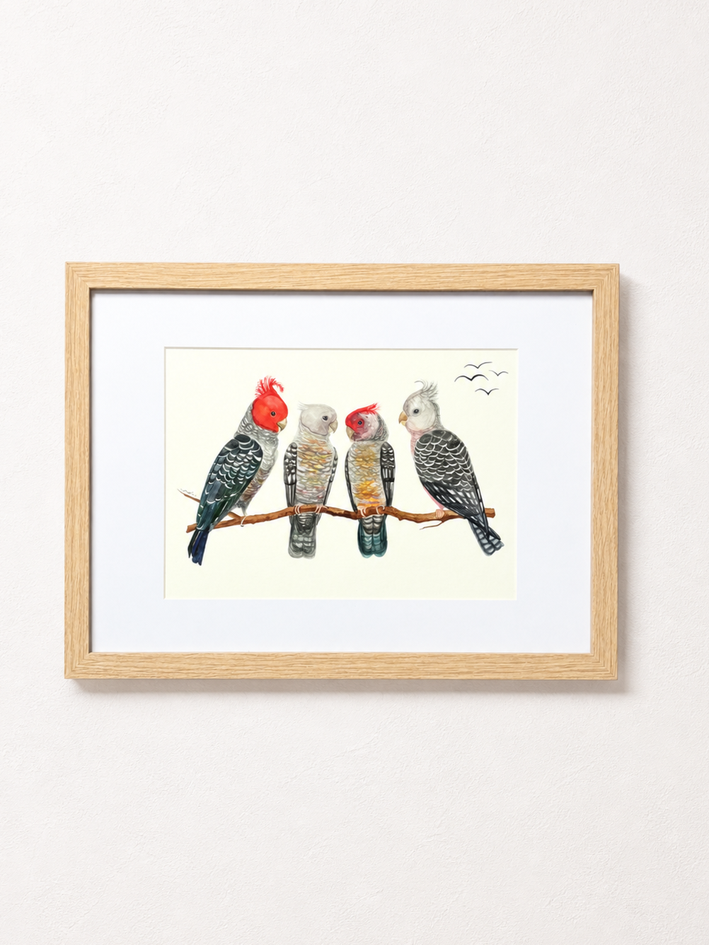 Gang-gang Cockatoo Family,
Watercolour on paper, 31.26 cm x 22.12 cm