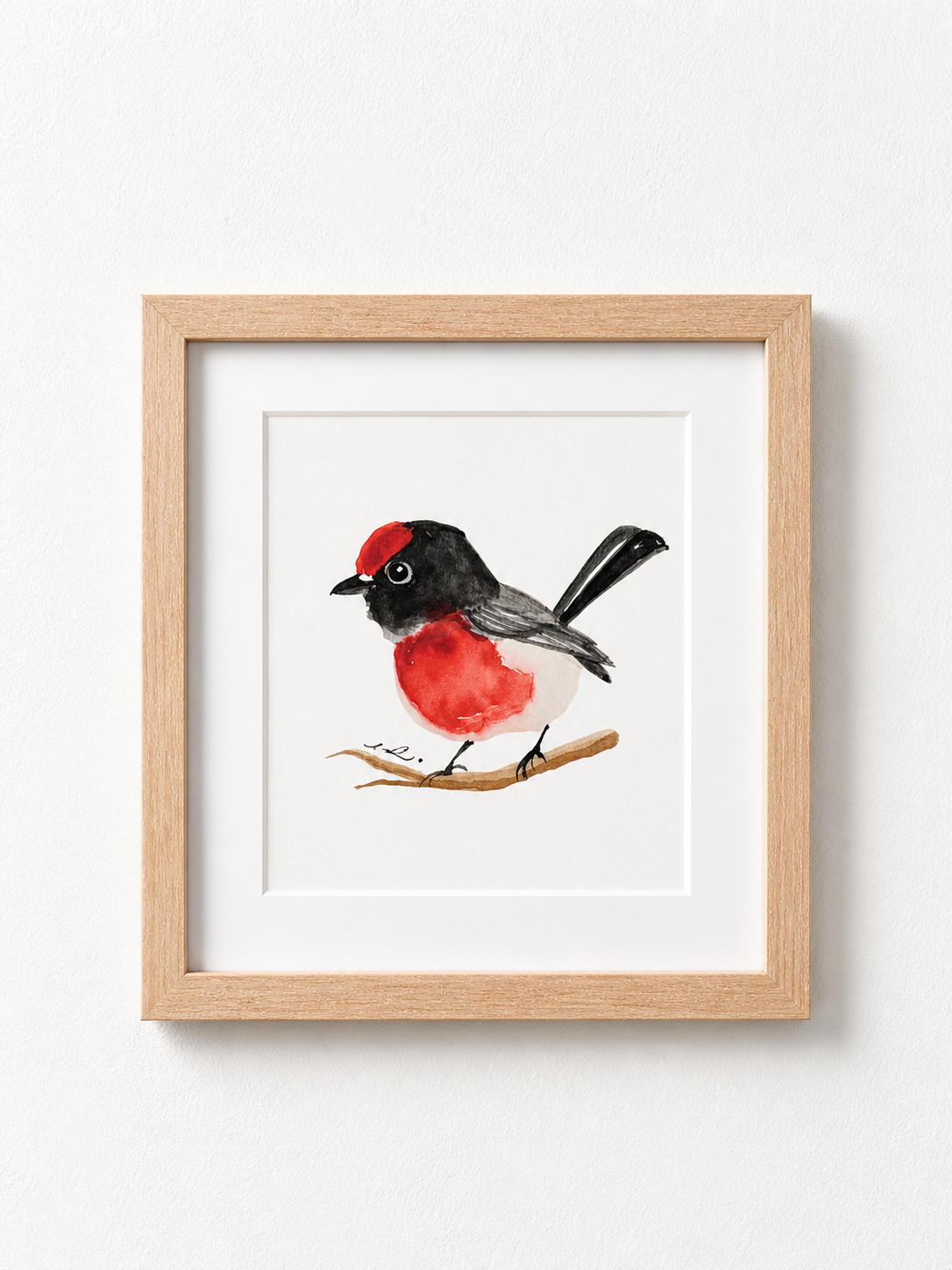 Red-capped Robin, watercolour on paper, 15.24 cm by 15.24 cm