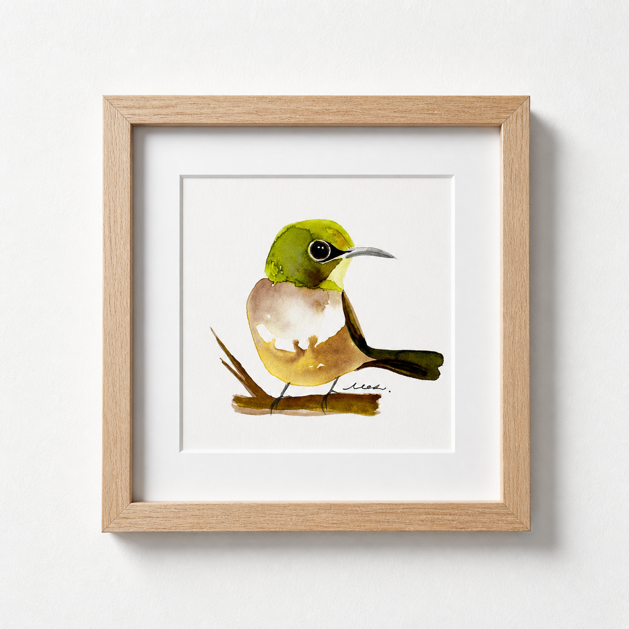 Silvereye, watercolour on paper, 15.24 cm by 15.24 cm