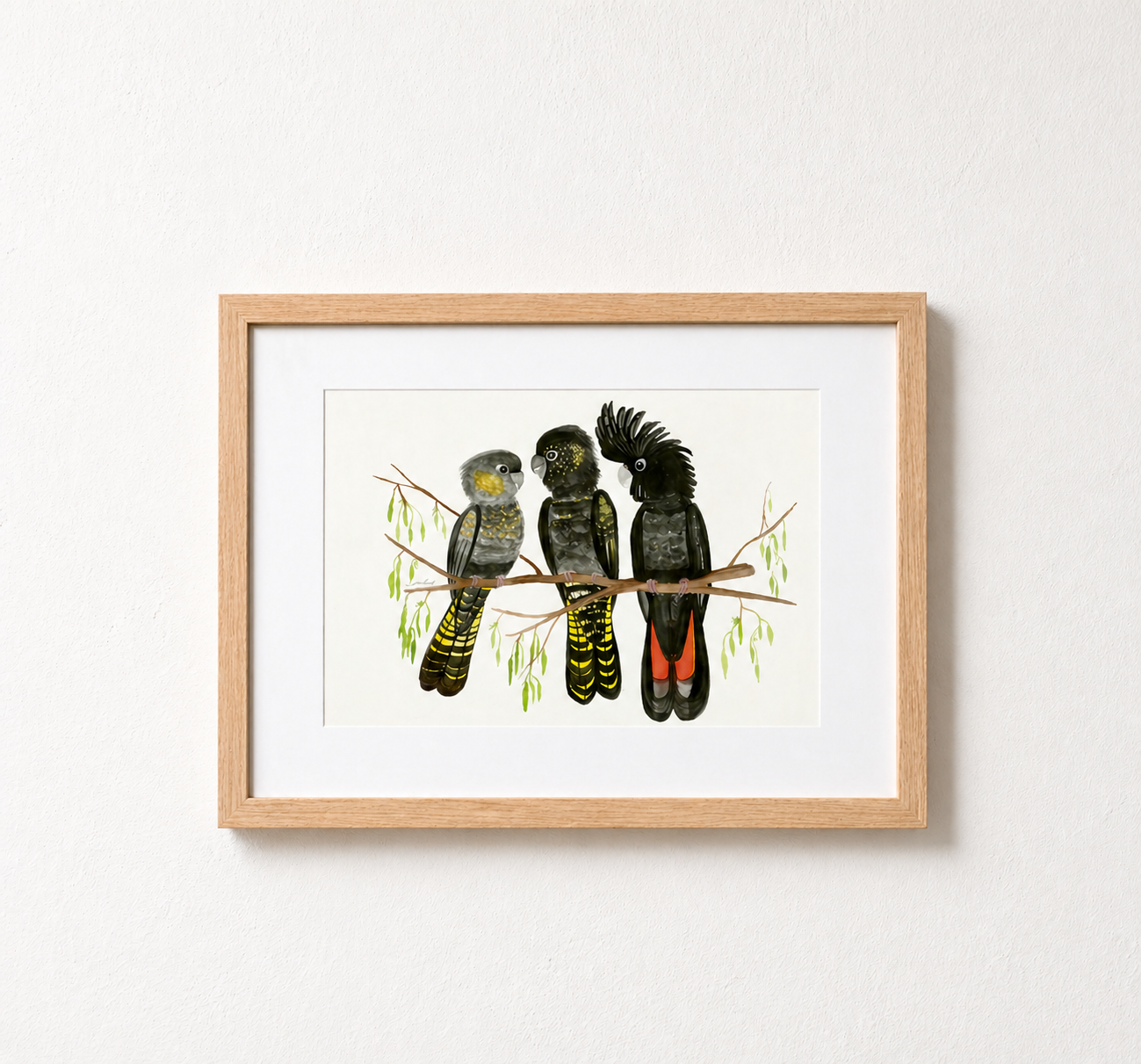 Red-tailed Black Cockatoo Family,
Watercolour on paper, 31.26 cm x 22.12 cm