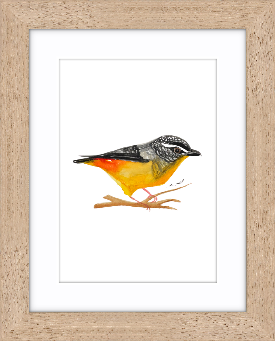Yellow bird.png